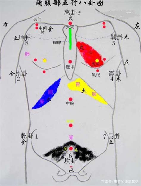 八卦 身體部位|《周易》数理之——后天八卦对应人体部位与器官